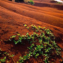 探索冒险游戏《幽灵霍迪》现已在Steam平台正式推出 并收获好评